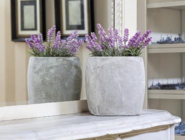 Flora that helps you sleep better