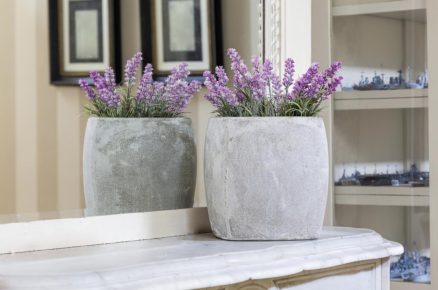 Flora that helps you sleep better