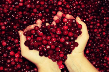 Beauty Benefits of Cranberries you didn’t know about