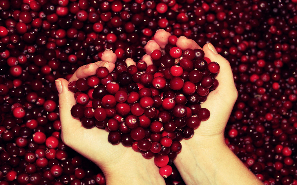 Cranberries lead
