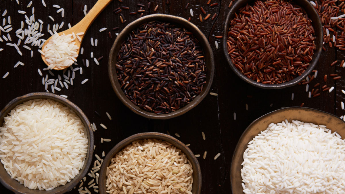 rice Lead