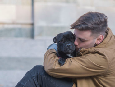 De-stress your mind with Therapy dog service available at your doorstep!