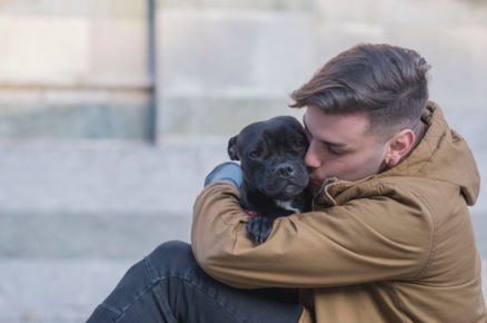 De-stress your mind with Therapy dog service available at your doorstep!