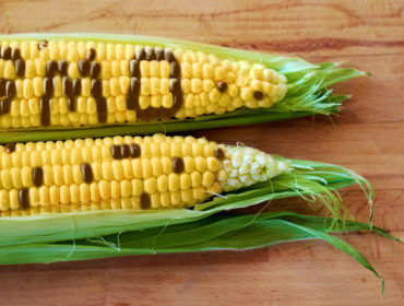 Non-GMO Labels: Truth or Fiction?