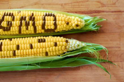 Non-GMO Labels: Truth or Fiction?