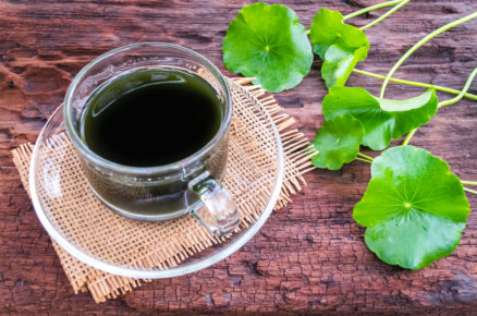 Magic Herb: Gotu Kola is the ultimate beauty elixir