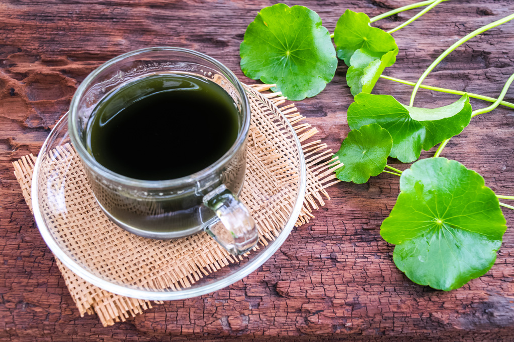 asiatic water, herbal drink on wooden background