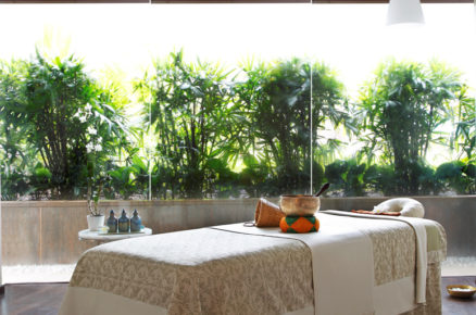 Kiwi Treatment at The Heavenly Spa by Westin