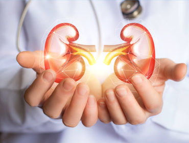 Ways to keep your kidney healthy