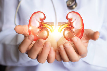 Ways to keep your kidney healthy