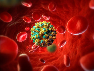 Developing Hepatitis: major epidemic concern