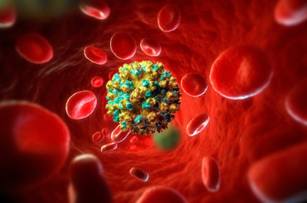 Developing Hepatitis: major epidemic concern