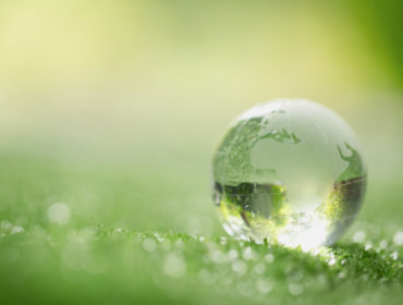 World Ozone Day: How the ozone is reviving