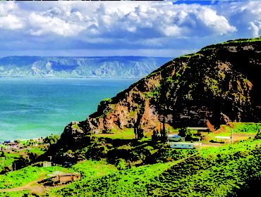 Go Green Your Next Trip