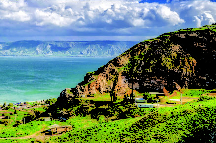 Go Green Your Next Trip
