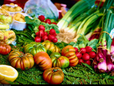 10 Diets That Actually Work