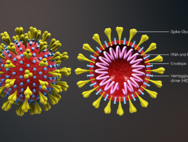 All About the Coronavirus Outbreak