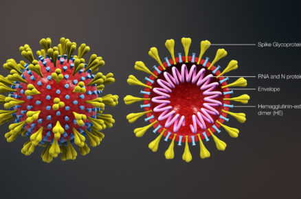 All About the Coronavirus Outbreak