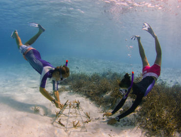 Anantara Hotels, Resorts & Spas’ Spotlights its Sustainability Champions