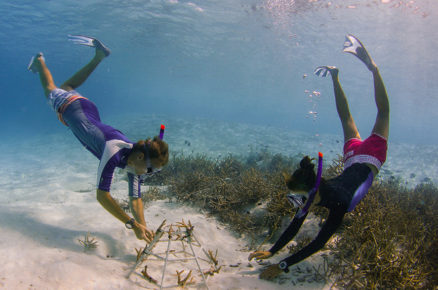 Anantara Hotels, Resorts & Spas’ Spotlights its Sustainability Champions