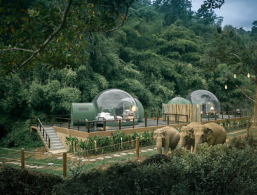 Are You Looking For A Travel Escape While Staying At Home?