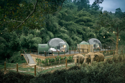 Are You Looking For A Travel Escape While Staying At Home?