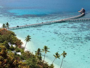 Dreaming Coral? These Resorts Are Perfect for Coral Reef Exploration