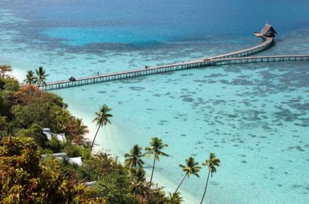 Dreaming Coral? These Resorts Are Perfect for Coral Reef Exploration