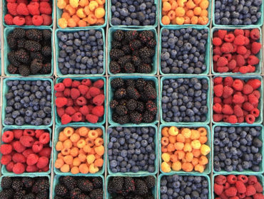 Go Very Berry this Summer to treat your Skin!