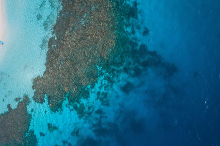World Ocean Day: Know about Coral Reefs