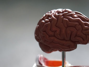 Brain Waves and their Connection with your Emotions