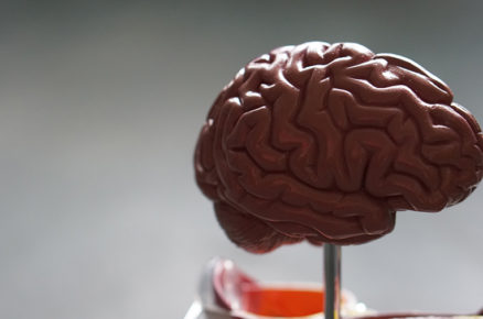 Brain Waves and their Connection with your Emotions