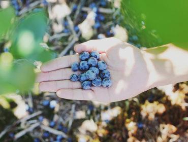Superfood: A new trend among Millenials