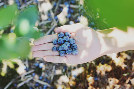 Superfood: A new trend among Millenials
