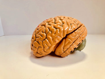 The 5 Symptoms of Brain Tumour to Watch Out For