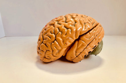 The 5 Symptoms of Brain Tumour to Watch Out For