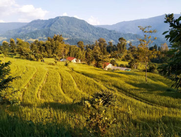 Step Back into Time with PaliGhar Farmstay Kalimpong