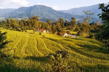 Step Back into Time with PaliGhar Farmstay Kalimpong