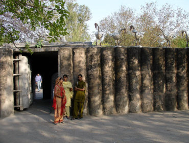 India’s Unmissable: Mornings at the Rock Garden