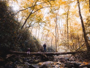 Immerse yourself in Nature- Green Hiking Trails in Philadelphia