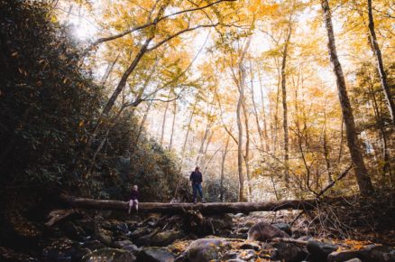 Immerse yourself in Nature- Green Hiking Trails in Philadelphia