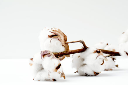 All You Need to Know About the Natural Fibre: Cotton