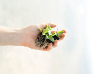 Nature-Kissed Beauty Brands this World Environment Day