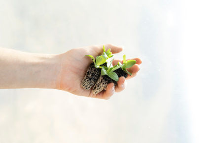 Nature-Kissed Beauty Brands this World Environment Day