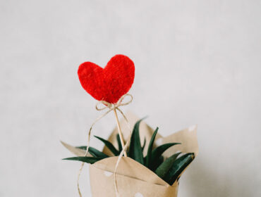 4 Reasons Why Neem & Aloe Vera Should Be on Your List