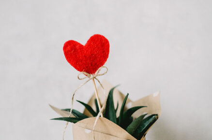 4 Reasons Why Neem & Aloe Vera Should Be on Your List