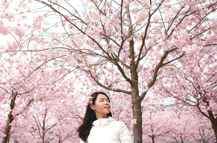 Explore The World Of J-Beauty With These 4 Steps