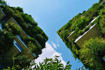 LINKIN Reps On Creating An Eco-Conscious Work Environment
