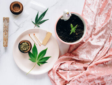 This Is What You Need to Know About India’s 1st Ayurvedic Hemp Range