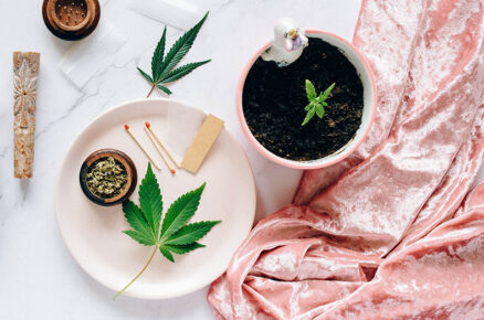 This Is What You Need to Know About India’s 1st Ayurvedic Hemp Range